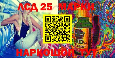 спиды Кингисепп