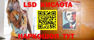 шишки Кимры