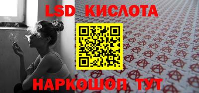 спиды Кингисепп