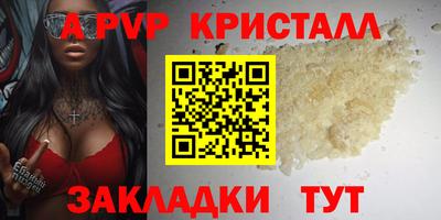 шишки Кимры