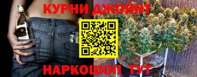 шишки Кимры