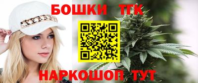 спиды Кингисепп
