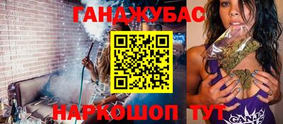 спиды Кингисепп