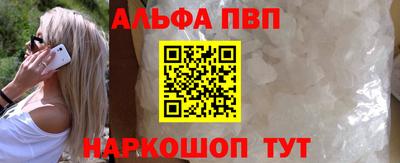 спиды Кингисепп