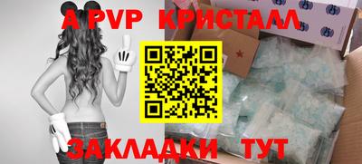 спиды Кингисепп