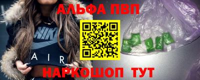 спиды Кингисепп