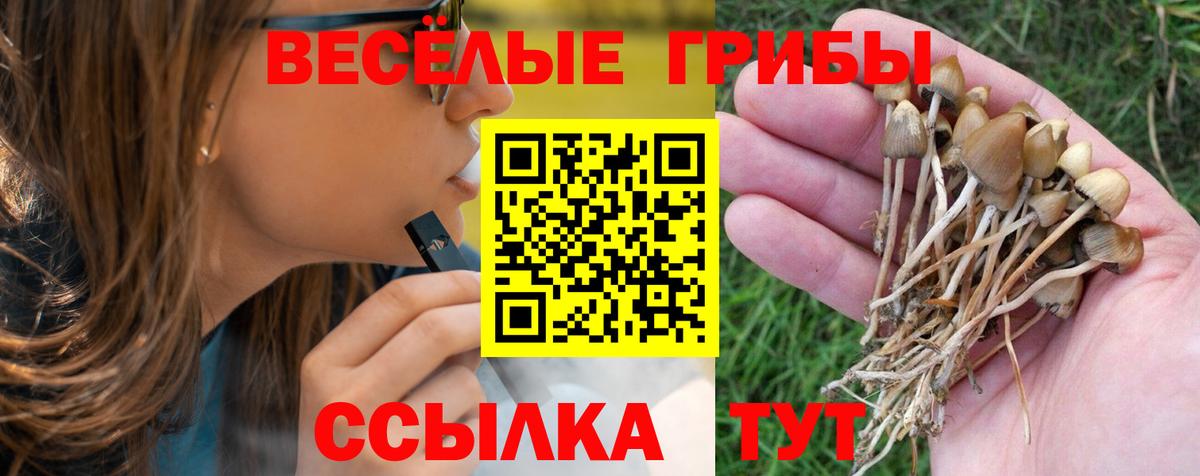 Котельники  Галлюциногенные грибы мицелий  Вход с VPN 